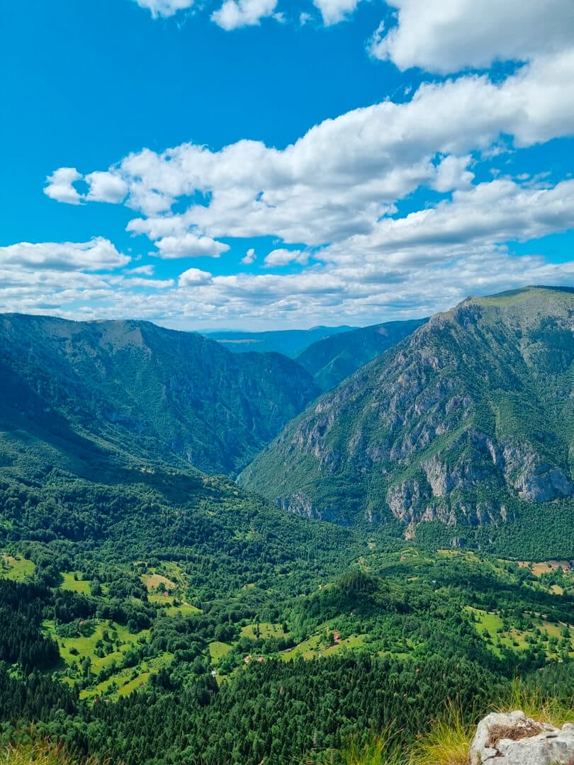 VIDIKOVAC CUREVAC (Viewpoint Curevac)