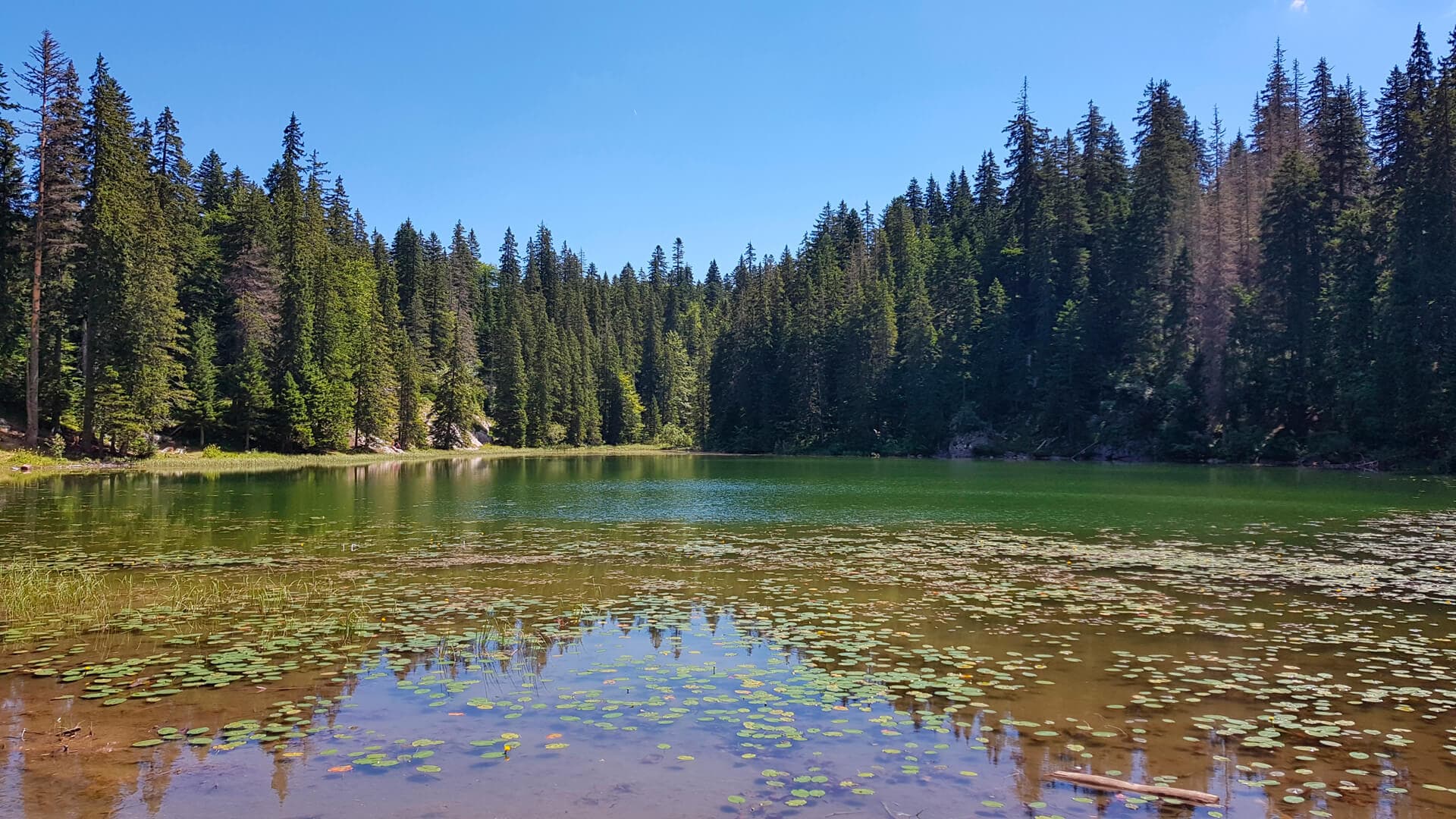 ZMINJE JEZERO (Zminje lake)